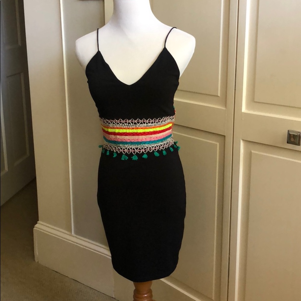 Alice and Olivia Loralee embroidered dress